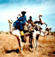 Mali Tuareg