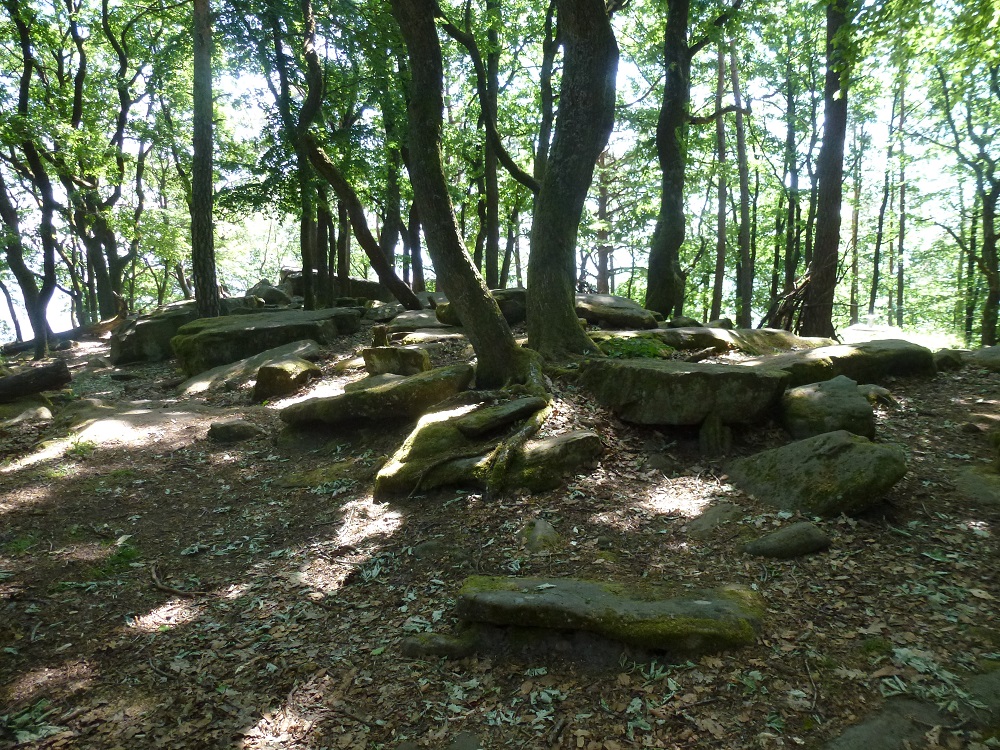 111 Rietburg Steine und Bäume - Kopie