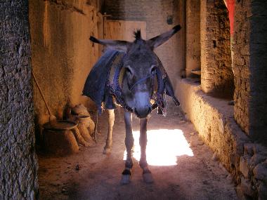 Marokko Strae der Kasbahs