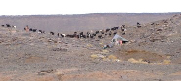 Marokko Piste nach M'Sied Berberlager