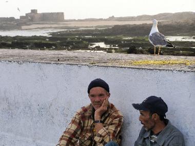 Marokko Essaouira  Hafen