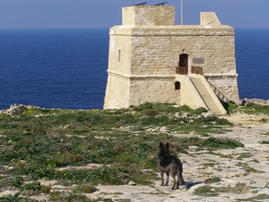 Malta, Gozo, Dwejra Point: Qawra Tower