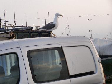 Marokko Essaouira Hafen