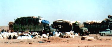 Libyen Sheba Verladeplatz
