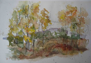 ws automne