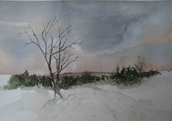 ws winter, study